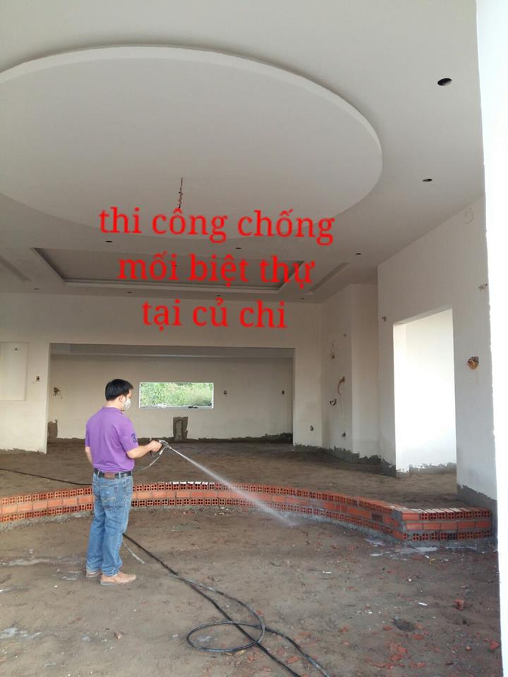 DỊCH VỤ DIỆT MỐI VÀ CÔN TRÙNG